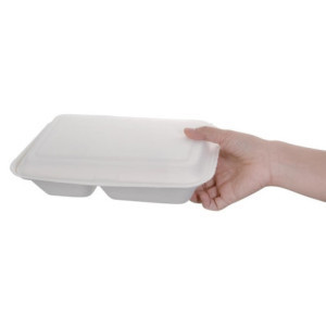 Kutije od bagasa s 2 odjeljka, kompostabilne, 253 mm - paket od 200