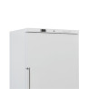 Bijeli ventilirani zamrzivač - 600 L - Dynasteel