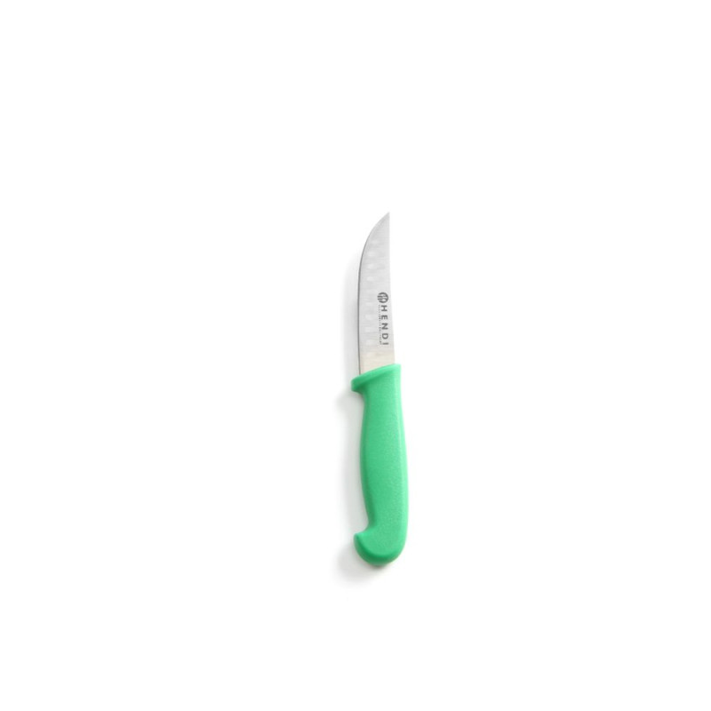Universal Green Knife for Fruits and Vegetables - 9 cm Blade Universal Green Knife for Fruits and Vegetables - 9 cm Blade