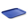 Pladanj za brzu hranu - Veliki model 450 x 350 mm - Plava