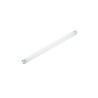 Zamjenska neon cijev za insekticidnu lampu 39 cm