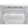 Vitrine Réfrigérée Dessous Comptoir 150 L - Polar