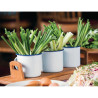 Ponovno upotrebljive etikete za alergene - Set od 20 - Olympia - Fourniresto