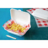 Barquettes À Charnière en Bagasse Compostables - 500 ml - Lot de 250 - Fiesta Green