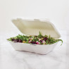 Posude za hranu od bagasa s poklopcem na šarkama - L 228mm - Paket od 200 - Vegware