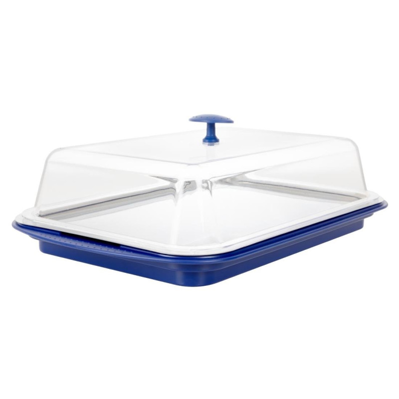 Refrigerated presentation platter with lid - APS - Fourniresto Refrigerated presentation platter with lid - APS - Fourniresto
