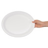Ovalni kompostabilni tanjuri od bagase 316mm - Paket od 50 komada, Brza dostava, Visoka kvaliteta