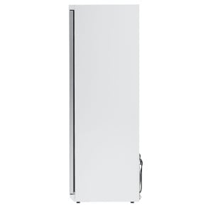 Armoire za zamrzavanje 400 L sa staklenim vratima, ventilirano hlađenje -18/-22°C
