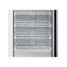 Armoire za zamrzavanje 400 L sa staklenim vratima, ventilirano hlađenje -18/-22°C
