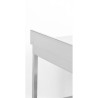 Stol Inox Dynasteel: Dubina 700 mm, Duljina 800 mm