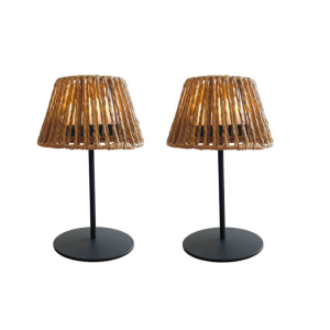 LED Stolna Lampa - Twins Raffy - Set od 2 - Lumisky