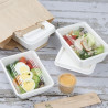 Recyclable PET Fiesta Lids for Bagasse Trays - Pack of 100 - Gastronoble
