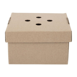 Sklopive Kvadratne Kutije za Burger - Paket od 100 - Fiesta Green