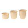 Fiesta Recyclable Umaci Lonci 100 ml - Paket od 1000 - Fiesta Green
