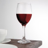 Verre à Vin Solar - 310 ml - Lot de 24 - Olympia
