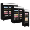 Vitrine Congélateur Verticaux Blanc - 405 L - TEFCOLD