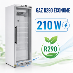 Armoire za zamrzavanje 400 L sa staklenim vratima, ventilirano hlađenje -18/-22°C