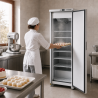 Armoire za zamrzavanje 380 L Ventilirano hlađenje -18/-22 °C