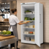 Ventilirani rashladni ormar 527 L +2/+8 °C — Puna vrata