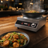 Wok za indukciju Pro 3500 W Inox — Konkavna zona Ø227