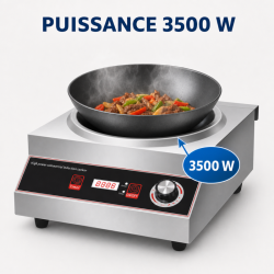 Wok za indukciju Pro 3500 W Inox — Konkavna zona Ø227