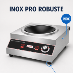 Wok za indukciju Pro 3500 W Inox — Konkavna zona Ø227