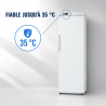 Ventilirani rashladni ormar 306 L +2/+8 °C Puna vrata