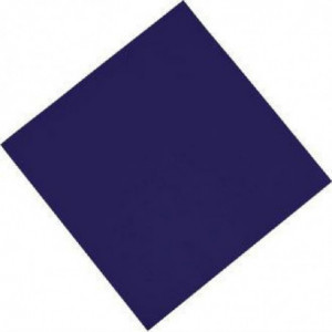 Plava papirnata salveta za stol 2 sloja 300 x 300 mm - Paket od 1500 - FourniResto - Fourniresto