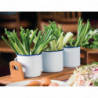 Ponovno upotrebljive etikete za alergene - Set od 20 - Olympia - Fourniresto