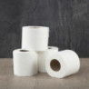 Toaletni papir Standard 2 sloja - Paket od 36 - Jantex - Fourniresto